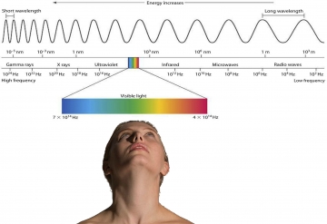 We only perceive an extremely limited section from an infinite array of existence as our material world based on our five senses.