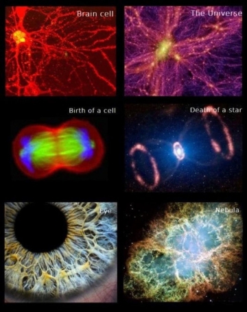 The program that is operating at the macro level is applied at the micro level! This is why it was said ‘the part reflects the whole’! This is why the universe has been defined as macro and man as micro.