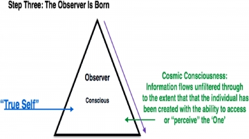 The Observer is Born