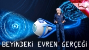 Beyindeki Evren Gerçeği