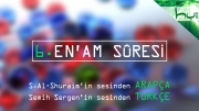 6. En'am Suresi