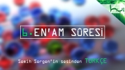 6. En'am Sûresi